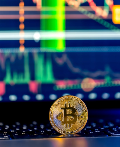 T.C. Varlık Projesi Ticaret Bilgileri